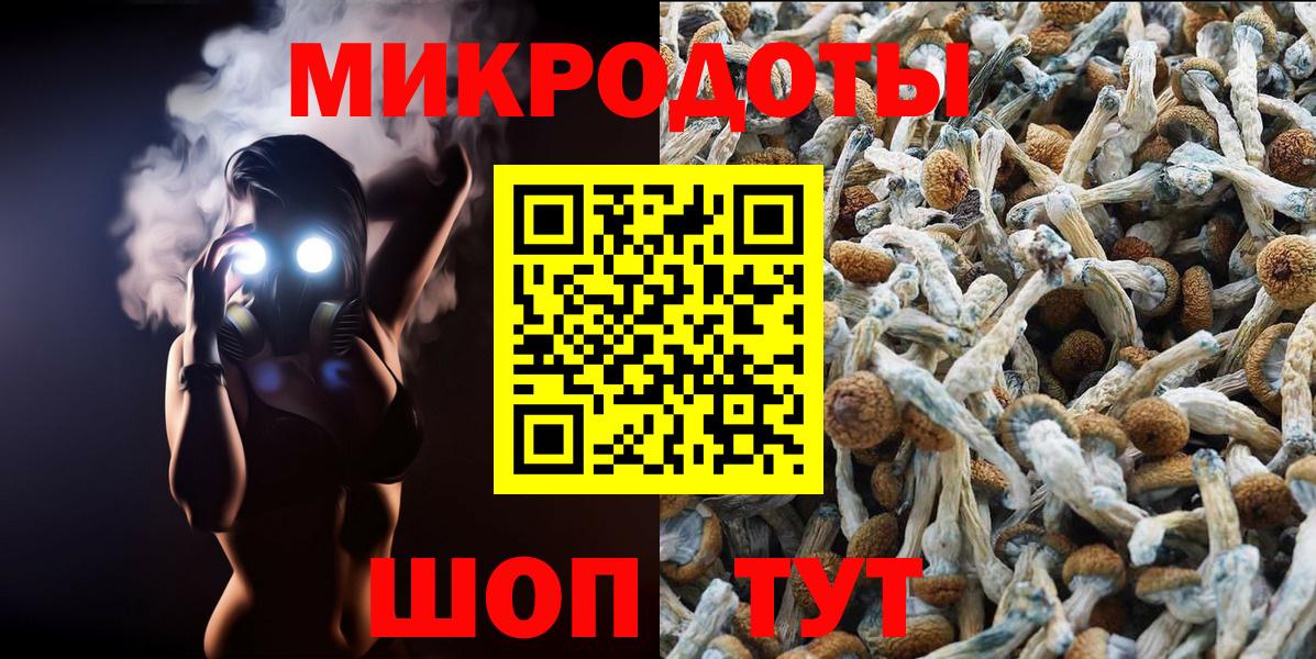 Псилоцибиновые грибы MAGIC MUSHROOMS  Вход с VPN  Старая Купавна  Галлюциногенные грибы Cubensis 