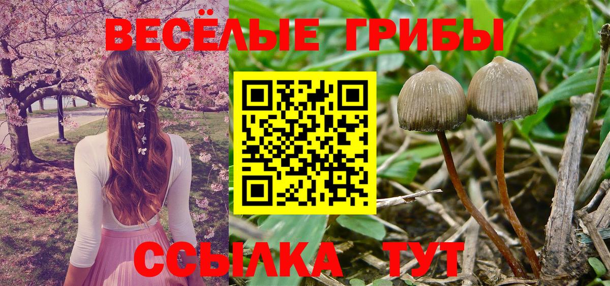 Псилоцибиновые грибы мухоморы Старая Купавна